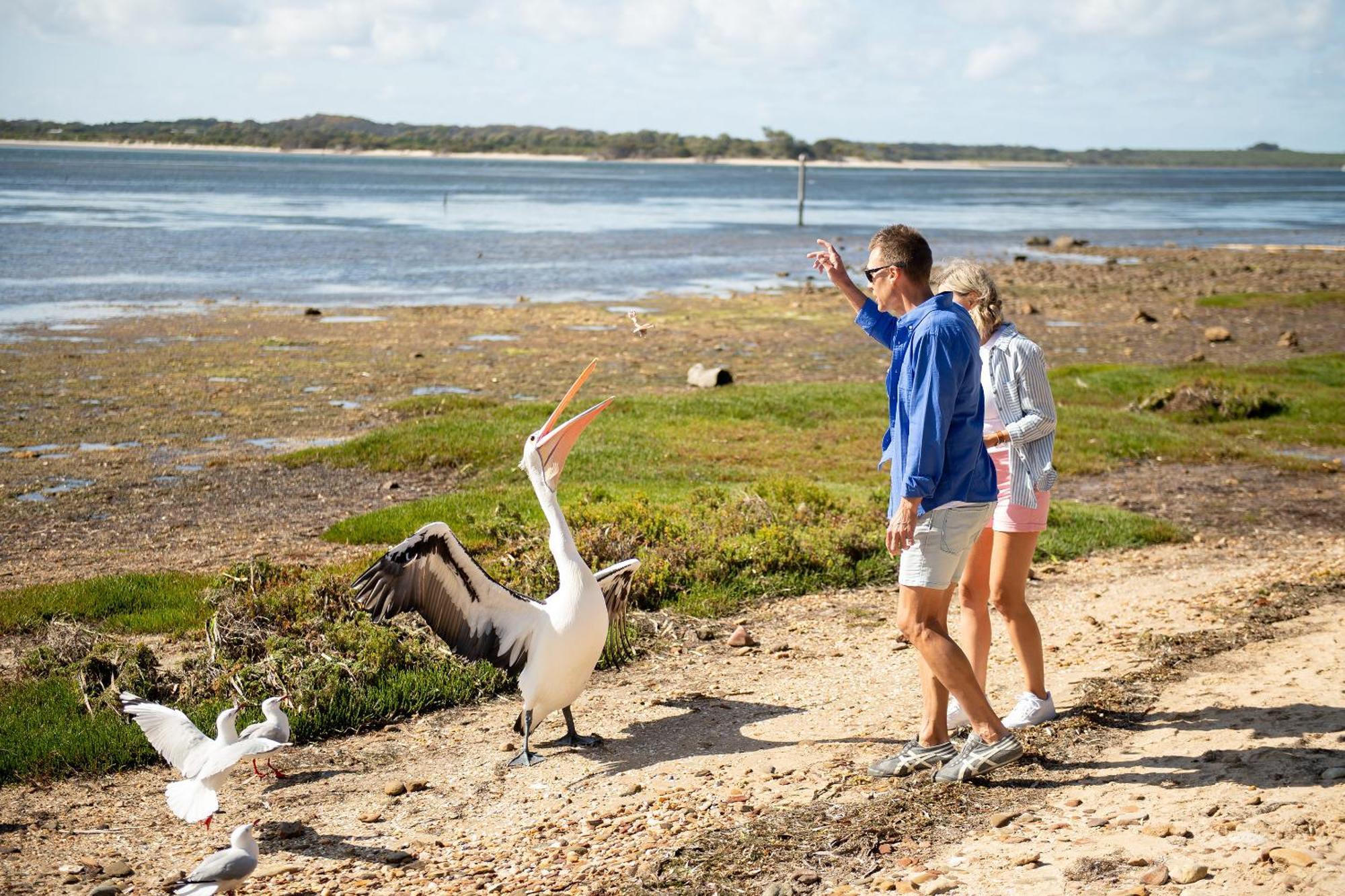 Mercure Kangaroo Island Lodge American River Exterior photo